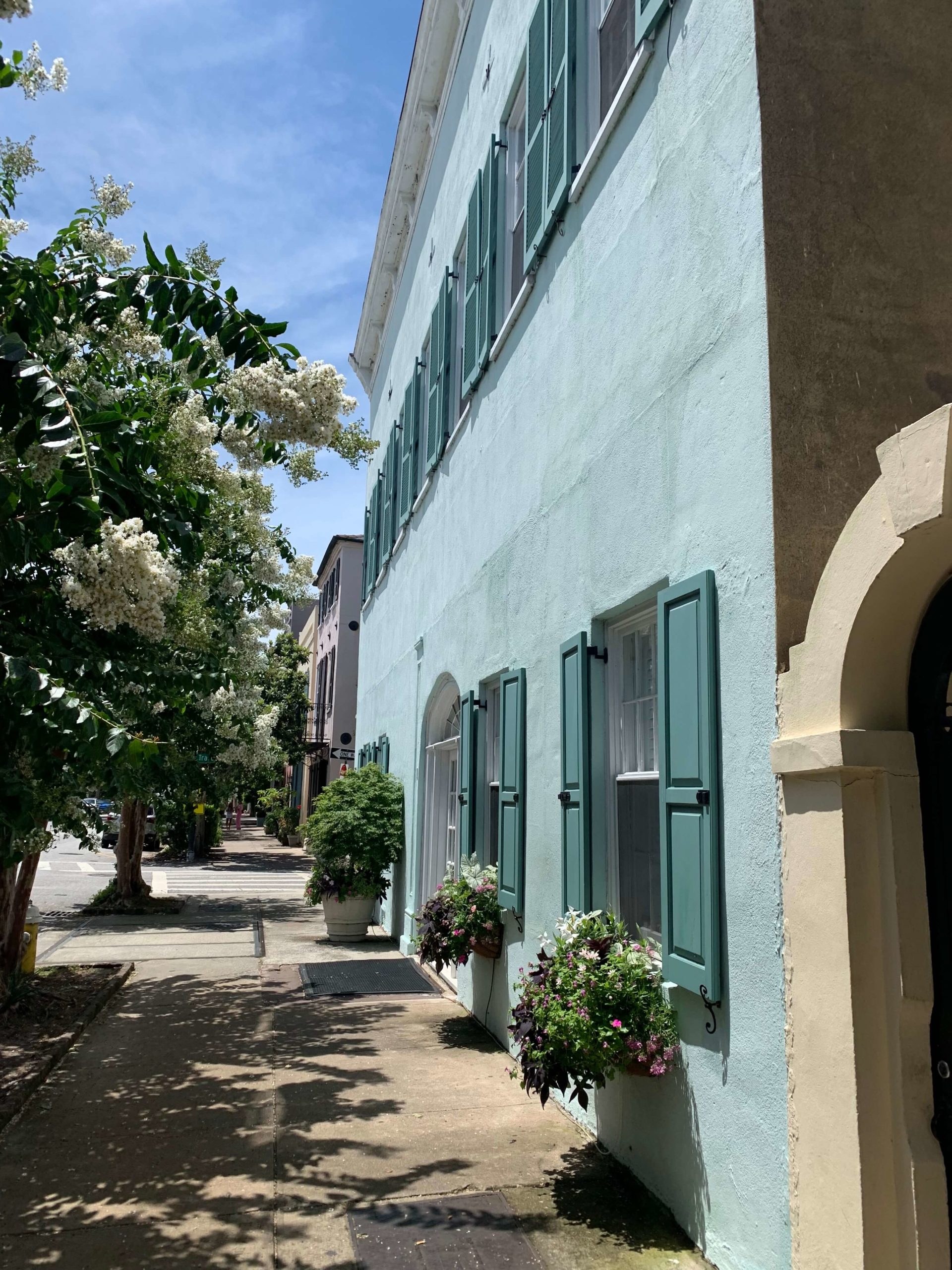 Charleston's Rainbow Row in summer with blooming flowers