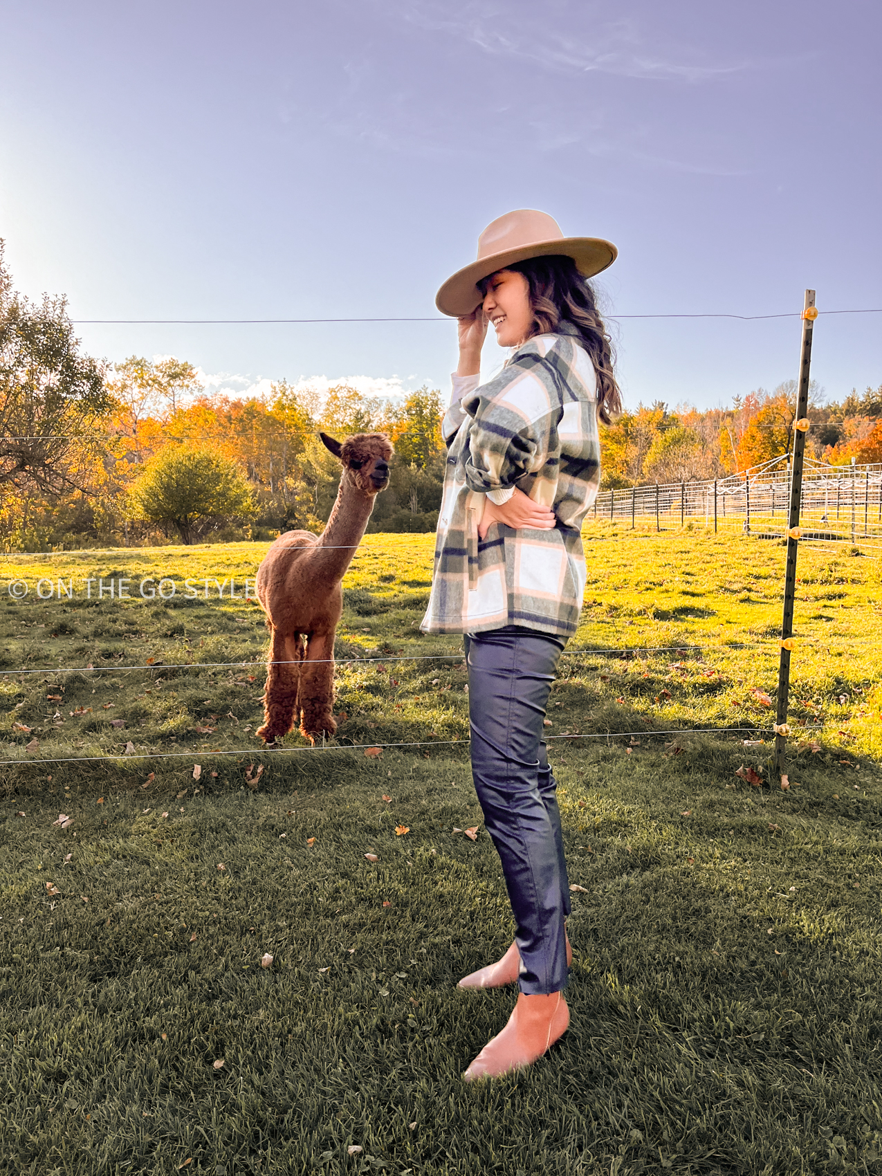 Alpaca petting farm fall outfit with plaid green cream shirt and tan hat