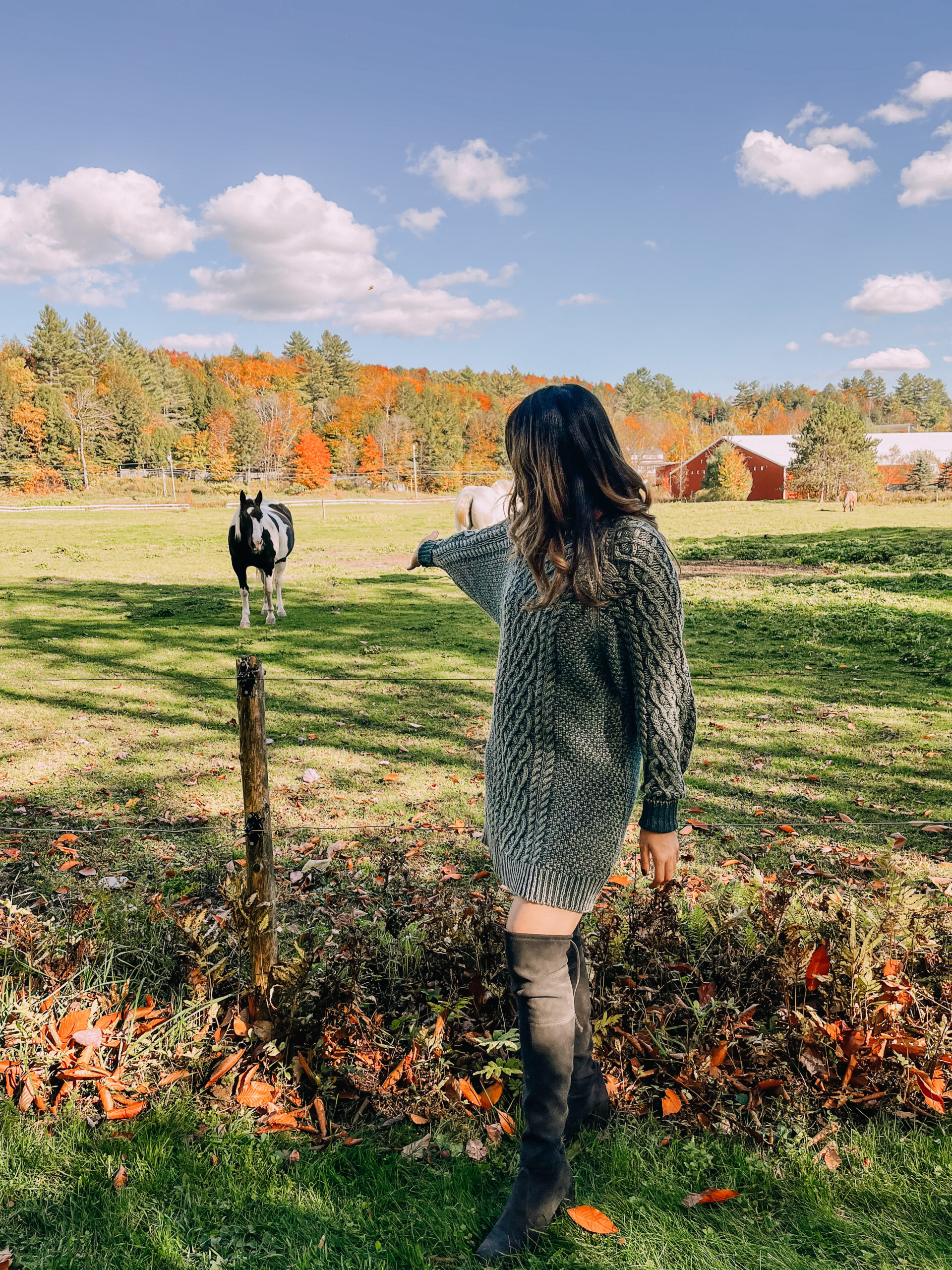 Horses out in pasture near Stowe Vermont - wearing Free People cable knit sweater dress
