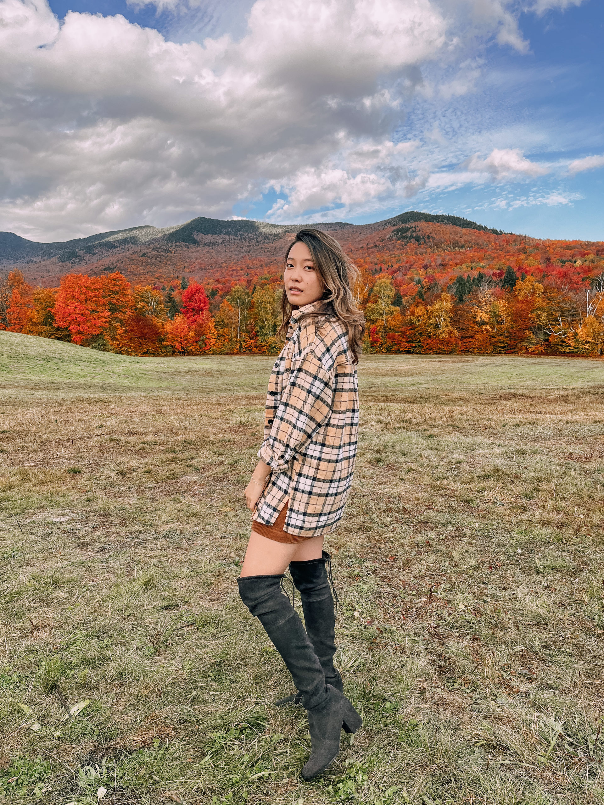 Field with foliage on the way to Smuggler's Notch